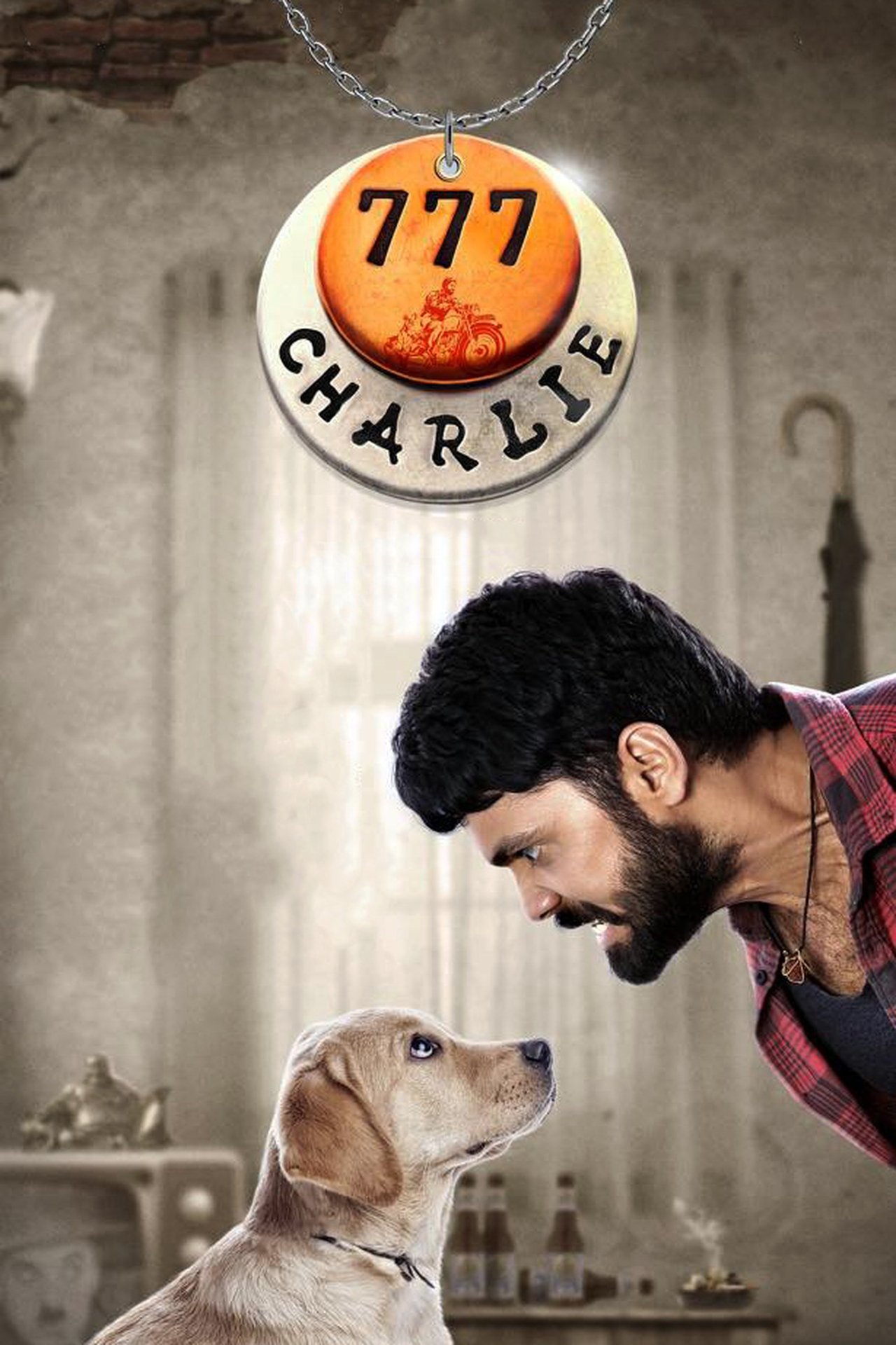Download 777 Charlie Movie in Hindi – HD MP4 Download 777 Charlie Movie in Hindi – HD MP4