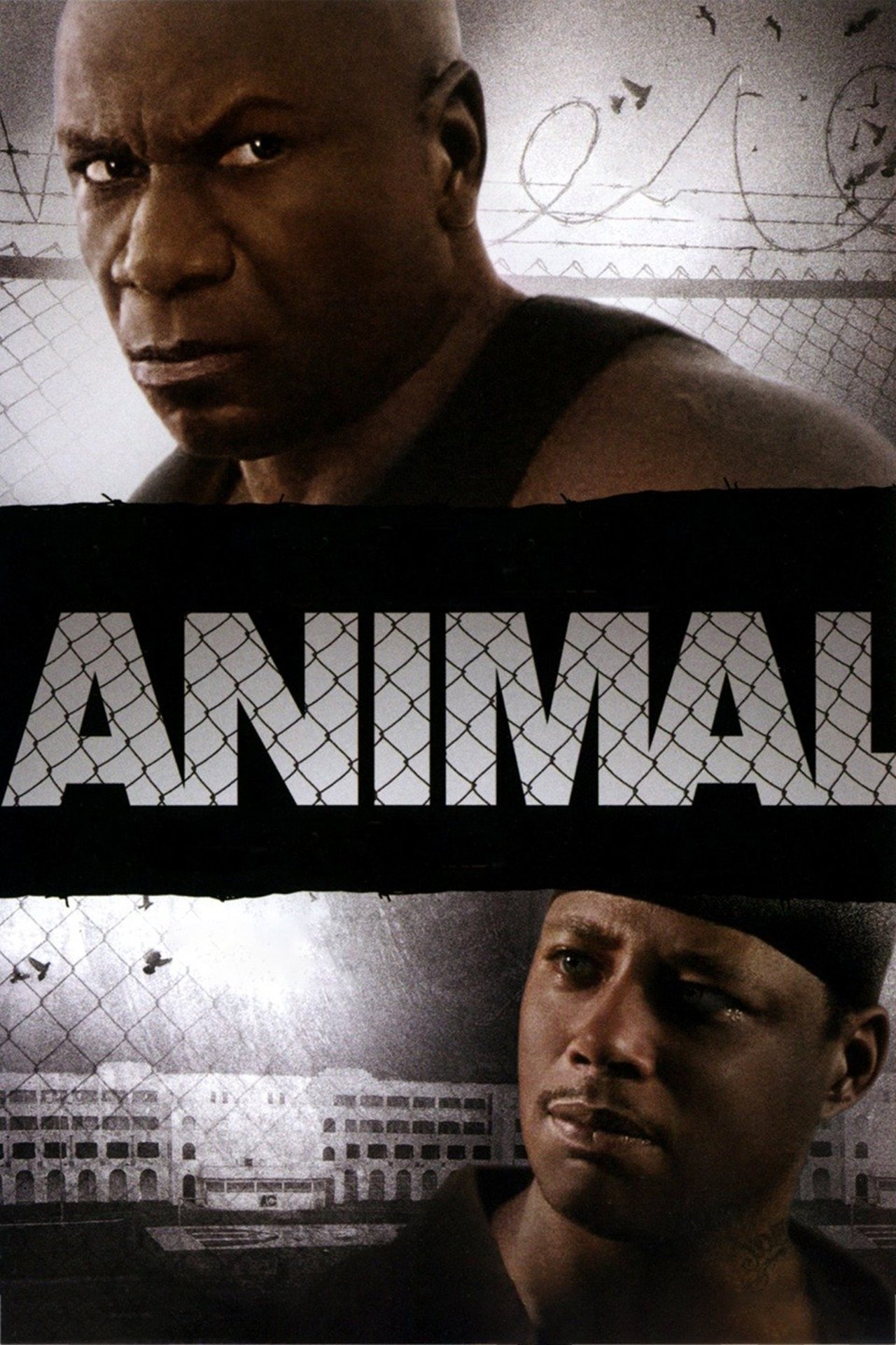 Download Animal Movie in Hindi – HD MP4 Download Animal Movie in Hindi – HD MP4