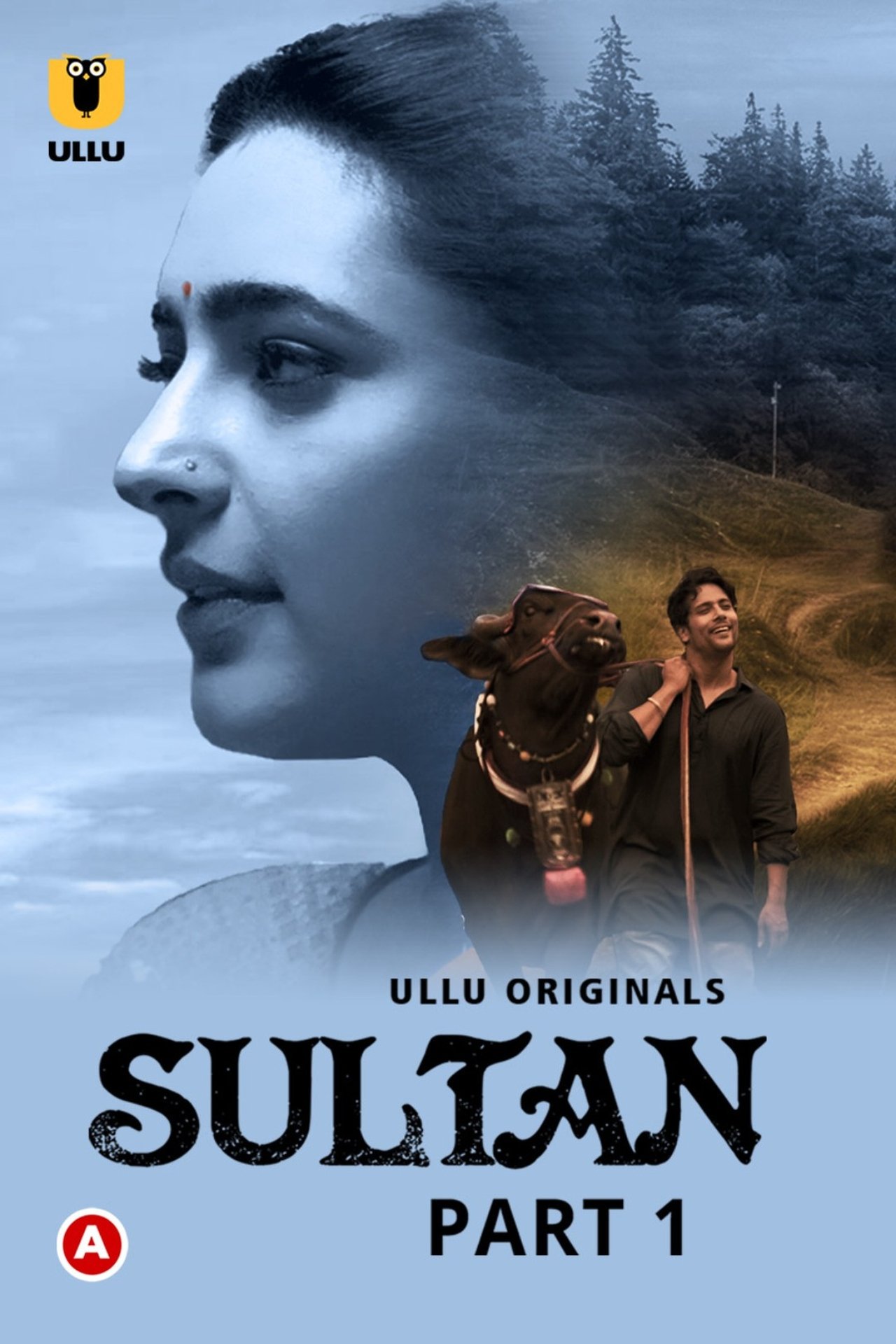 Sultan Full Movie Download 480p, 720p & 1080p HD